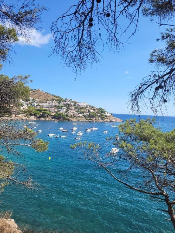 Apartamento Cala Montgo L' Escala Extérieur photo